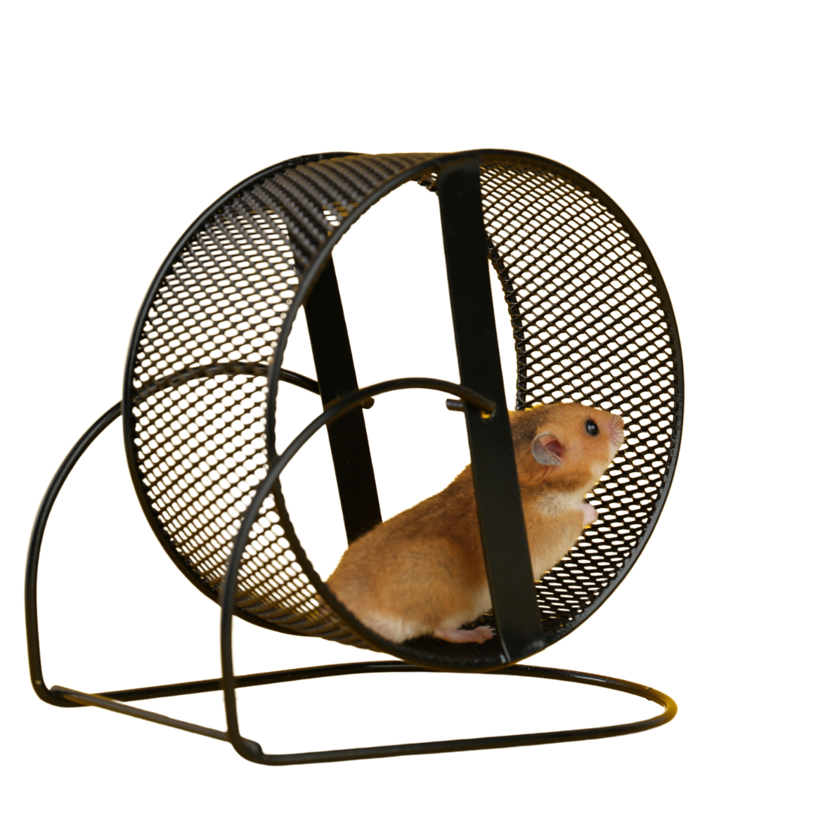 Hamsterrad